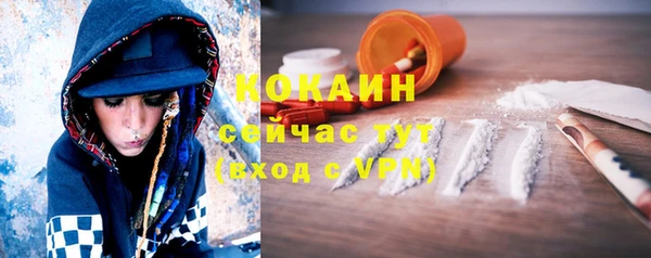 mix Белокуриха